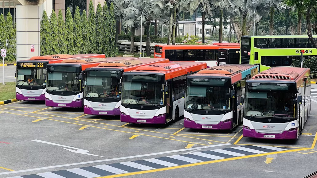 Buses and Commercial Passenger Vehicles